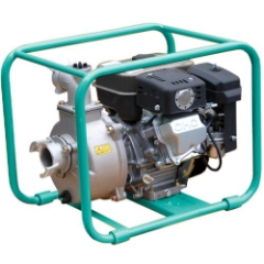 Worms Vandpumpe 2" TP36EX