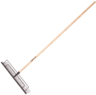 Plænerive, 32 tænder